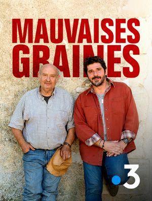 Mauvaises graines